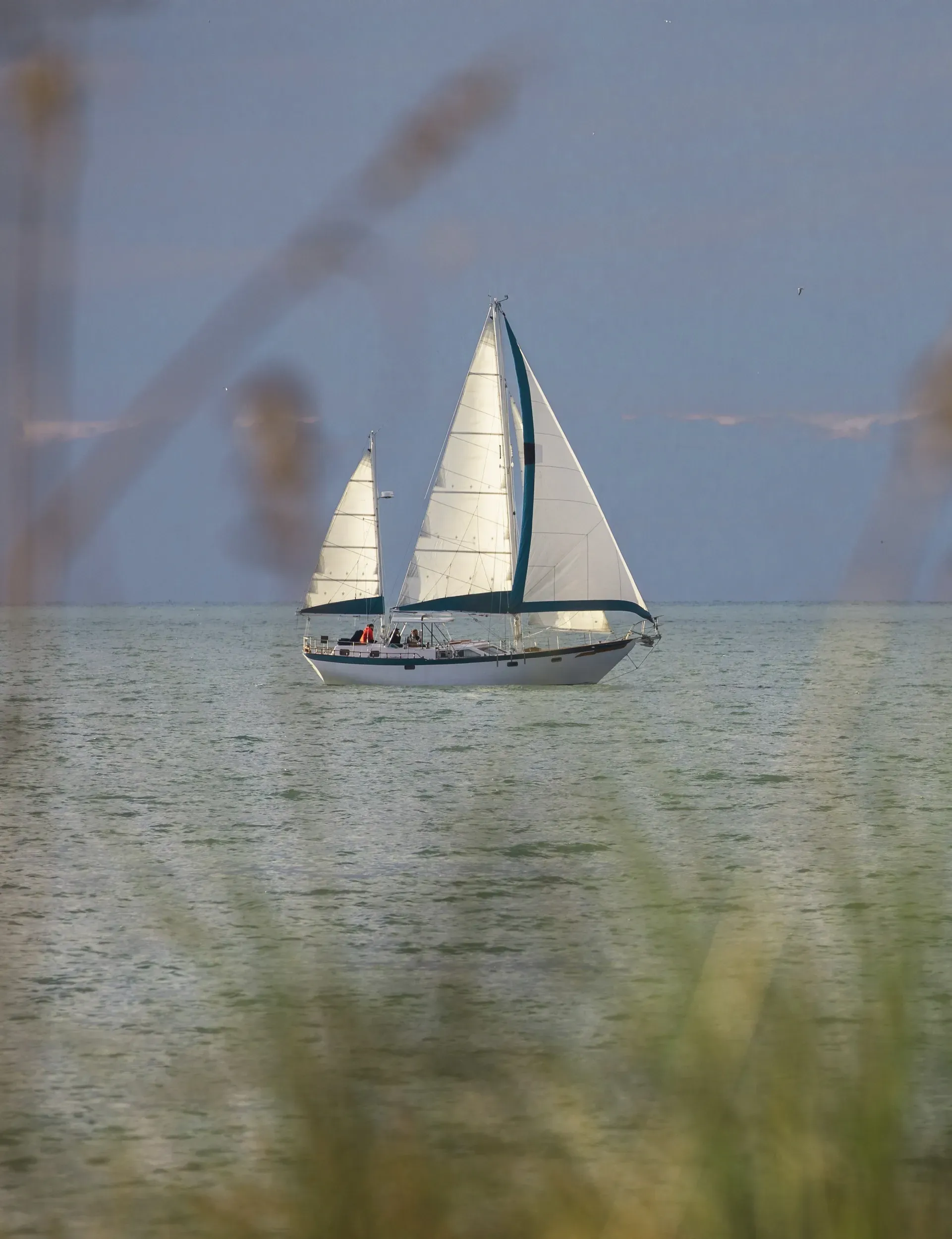 SV Cay Michele under full sail